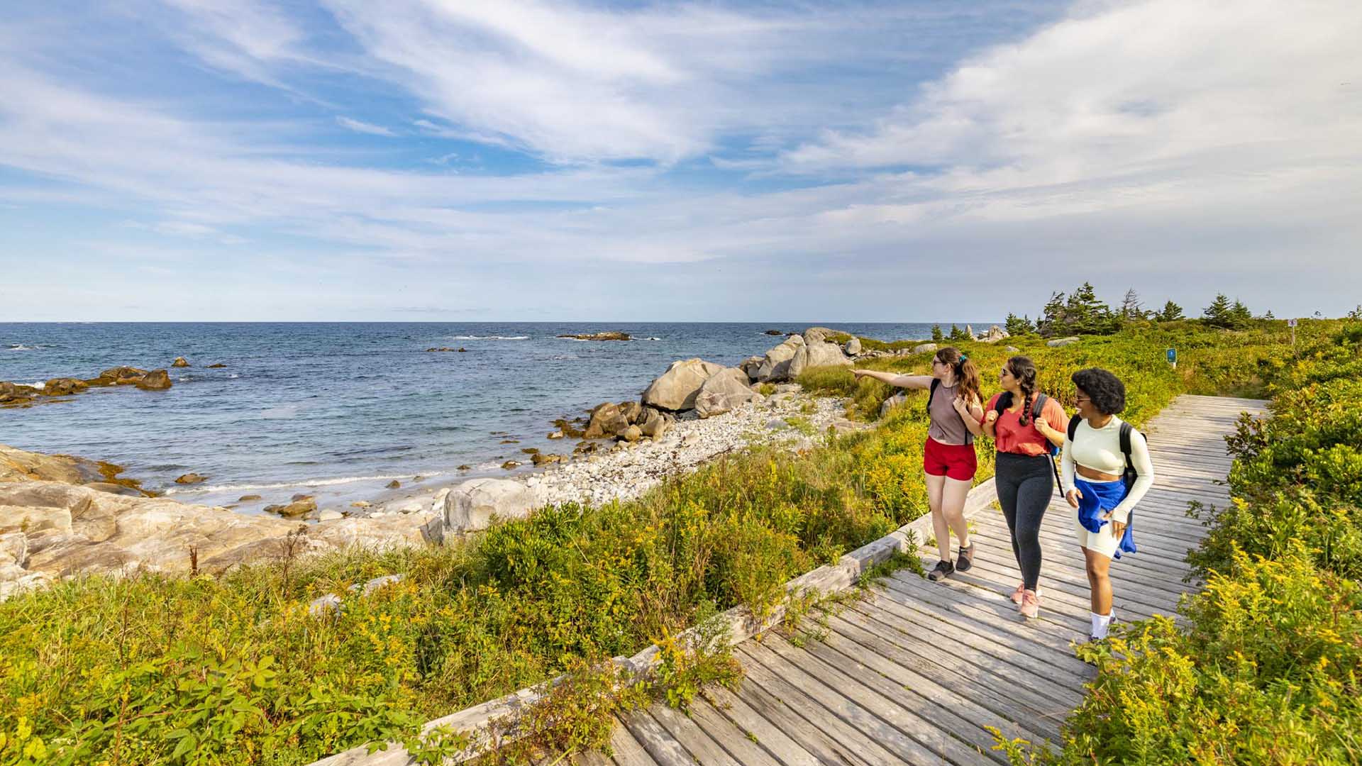 friends on a boardwalk overlooking the ocean